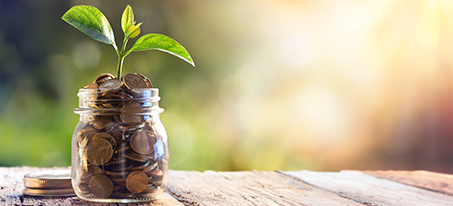 jar with pennies and plant growing out of the top
